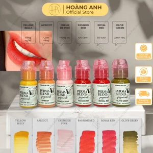 MỰC PERMA BLEND HỮU CƠ MỸ - mực perma full bảng màu dcpxhoanganh
