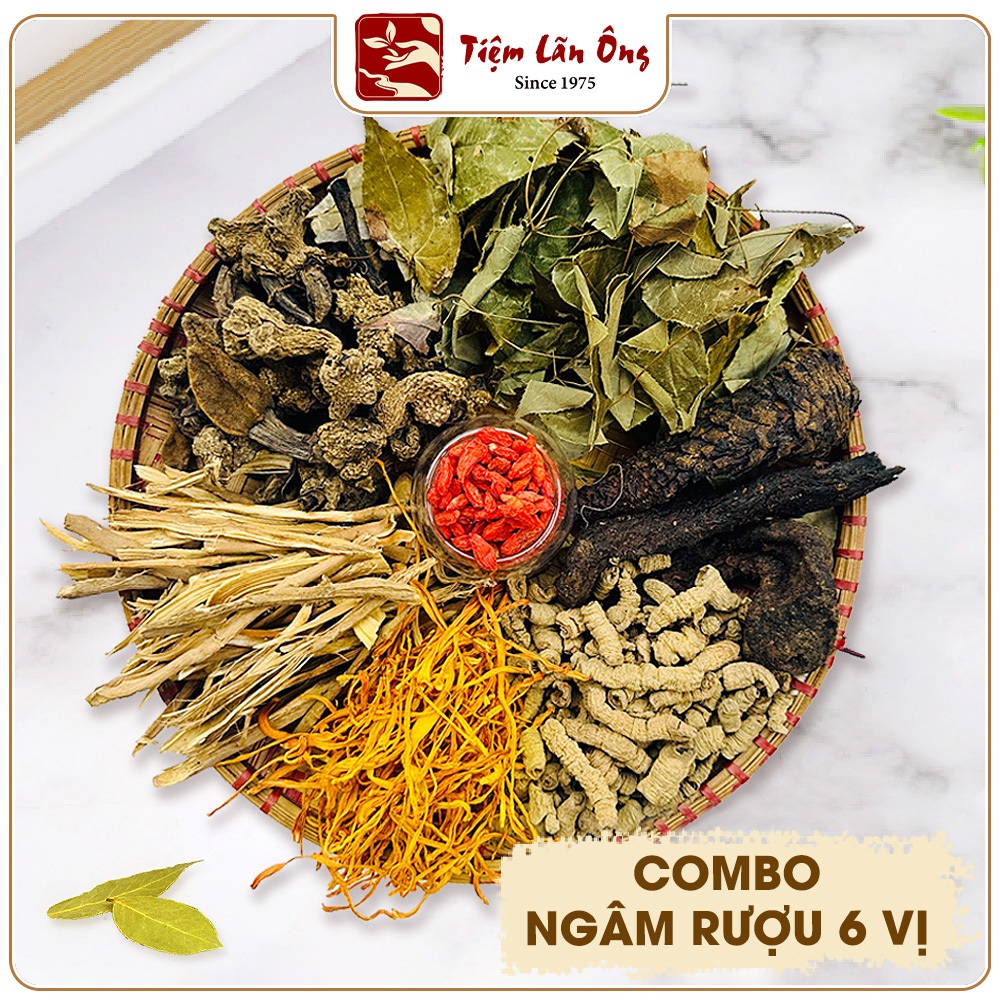 Combo 6 vị ngâm rượu, hỗ trợ bổ thận, tráng dương, tăng cường sinh lý nam, mạnh gân cốt