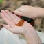 Dầu gội - xả thảo mộc Sâm - thảo dược thiên nhiên thuần chay nuôi dưỡng, kích thích mọc tóc lọ 500ml