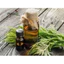 TINH DẦU NGẢI CỨU (WORMWOOD) 50mL 100mL