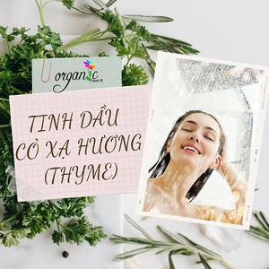 TINH DẦU CỎ XẠ HƯƠNG (THYME)