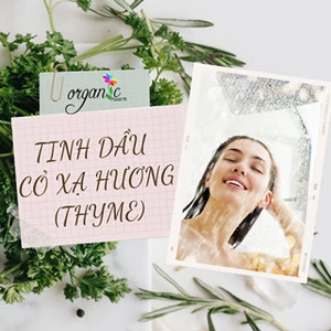 TINH DẦU CỎ XẠ HƯƠNG (THYME) 50mL 100mL