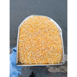 5kg Bắp/ Ngô bể loại 1 làm thức ăn cho gà đá, vịt, chim cu gáy, chuột hamster, gia cầm, vật nuôi