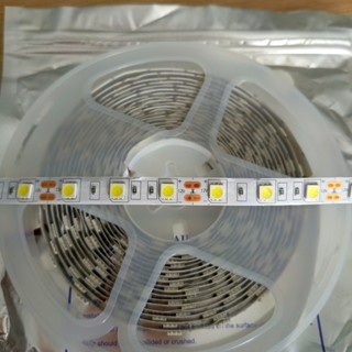 (Giá cuộn 5m) 60 Led/mét LED dây 5050 12V bản rộng 10mm cuộn 5m - có keo 2 mặt Ánh sáng trắng, vàng ấm, trung tính