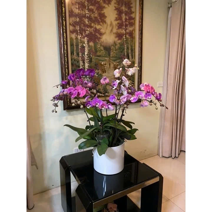 (chậu có lỗ + chậu không lỗ ) Chậu tròn trụ giả sứ đk 28cm cao 24cm giống sứ 99%