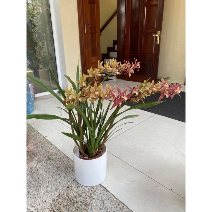 (chậu có lỗ + chậu không lỗ ) Chậu tròn trụ giả sứ đk 28cm cao 24cm giống sứ 99%