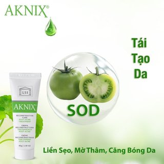 Kem Tái Tạo Da Sau Mụn Aknix INTENSIVE GLOBAL CARE Dưỡng Trắng Và Làm Mờ Thâm, Sẹo 40g Duduhouse