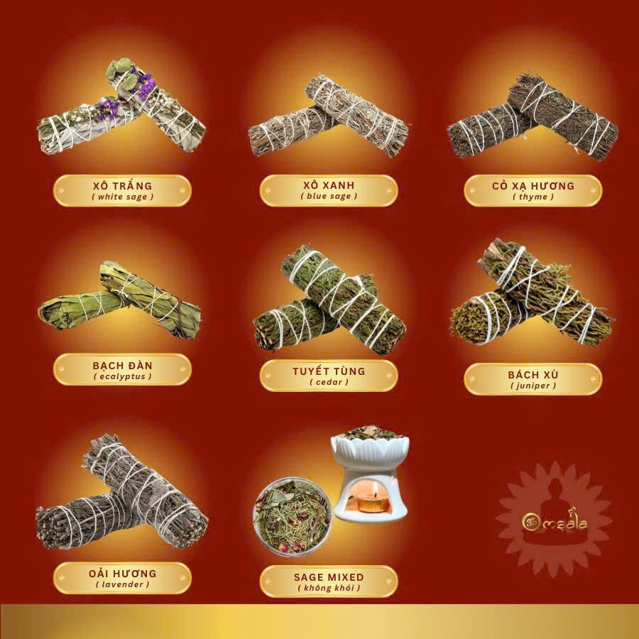 Xô Thơm Thanh Tẩy - Sage Xông Nhà Đuổi Tà Khí & Thanh Lọc Năng Lượng | Phong Thuỷ Omsala
