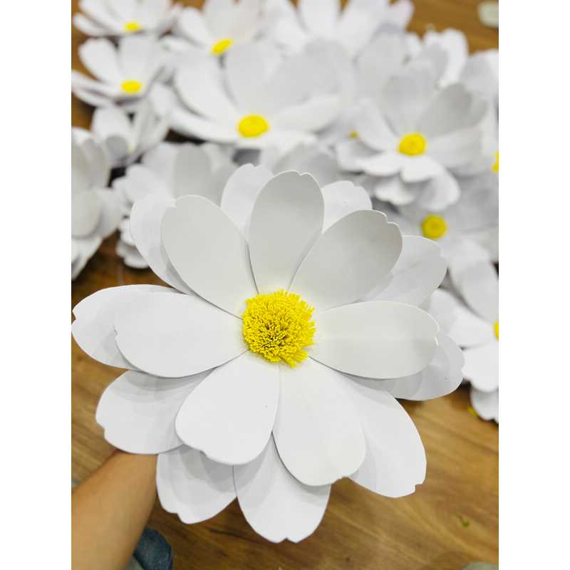 CÚC HOẠ MI KHỔNG LỒ BẰNG MÚT EVA
