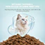 Hạt PetQ Churro C90,C90U,C90K, Thức Ăn Hạt Pet Q Cho Mèo Dinh dưỡng, Ngon miệng, Dễ tiêu hóa