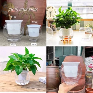 chậu nhựa thuỷ sinh tặng kèm giá đỡ chỉ 18,5k(kt 12x10), cốc thuỷ canh, bán thuỷ sinh giả thuỷ tinh