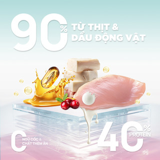 [Hỏa Tốc] Túi dùng thử 50g - Hạt cho mèo PetQ CHURRO C90 nhân thịt dinh dưỡng