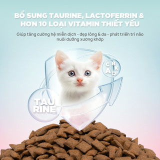 [Hỏa Tốc] Túi dùng thử 50g - Hạt cho mèo PetQ CHURRO C90 nhân thịt dinh dưỡng