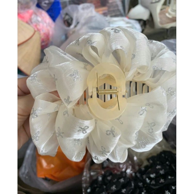 Trắng nơ nhũ kt