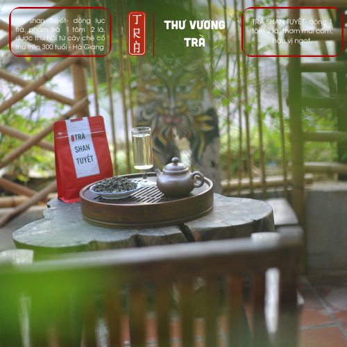 Trà Shan Tuyết cổ thụ trên 300 tuổi vùng Hà Giang thu hái vụ xuân phẩm trà 1 tôm 1 lá đóng túi ziper
