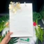 COMBO 5 Túi giấy Kraft trơn siêu bền, dày 180 gsm dùng đựng thời trang quà tặng, sách, thực phẩm,...