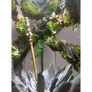 Terrarium " Kim Cô Phá Vạn Thạch " Quà tặng ý nghĩa, decor phòng, trang trí bàn làm việc