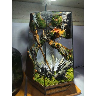 Terrarium " Kim Cô Phá Vạn Thạch " Quà tặng ý nghĩa, decor phòng, trang trí bàn làm việc
