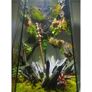 Terrarium " Kim Cô Phá Vạn Thạch " Quà tặng ý nghĩa, decor phòng, trang trí bàn làm việc