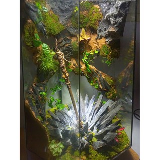 Terrarium " Kim Cô Phá Vạn Thạch " Quà tặng ý nghĩa, decor phòng, trang trí bàn làm việc