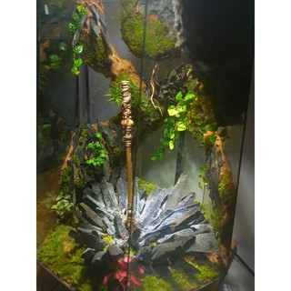 Terrarium " Kim Cô Phá Vạn Thạch " Quà tặng ý nghĩa, decor phòng, trang trí bàn làm việc