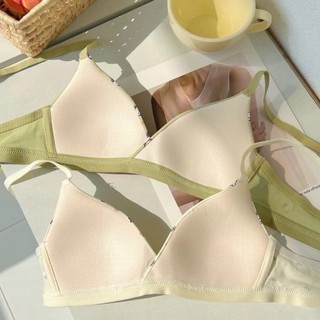 Combo 3 Áo Ngực Nữ Cotton Cho Nữ Sinh Hình Mèo Kitty Mút Mỏng, Áo Lót Mềm Thoáng Mát King Shop A-224
