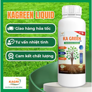 KA GREEN phân bón sinh học KAGREEN kích rễ, bung đọt, mập cành, dày lá, xanh lá - 1 lit