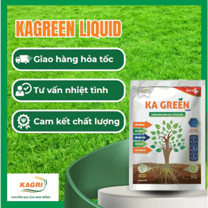 Phân bón sinh học KA Green bung đọt, gói 100ml pha 180 lít nước