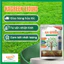 Phân bón sinh học KA Green bung đọt, gói 100ml pha 180 lít nước