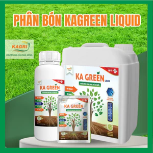 Phân Bón Sinh Học KA GREEN - Phân KAGREEN Bung đọt, xanh lá, mập cành, dày lá, kích rễ