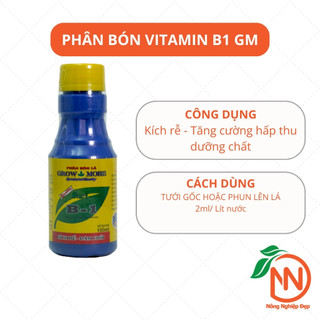 Phân Bón Vitamin B1 GrowMore Chai 100ml - Kích Rễ Cho Cây