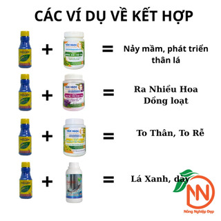 Phân Bón Vitamin B1 GrowMore Chai 100ml - Kích Rễ Cho Cây