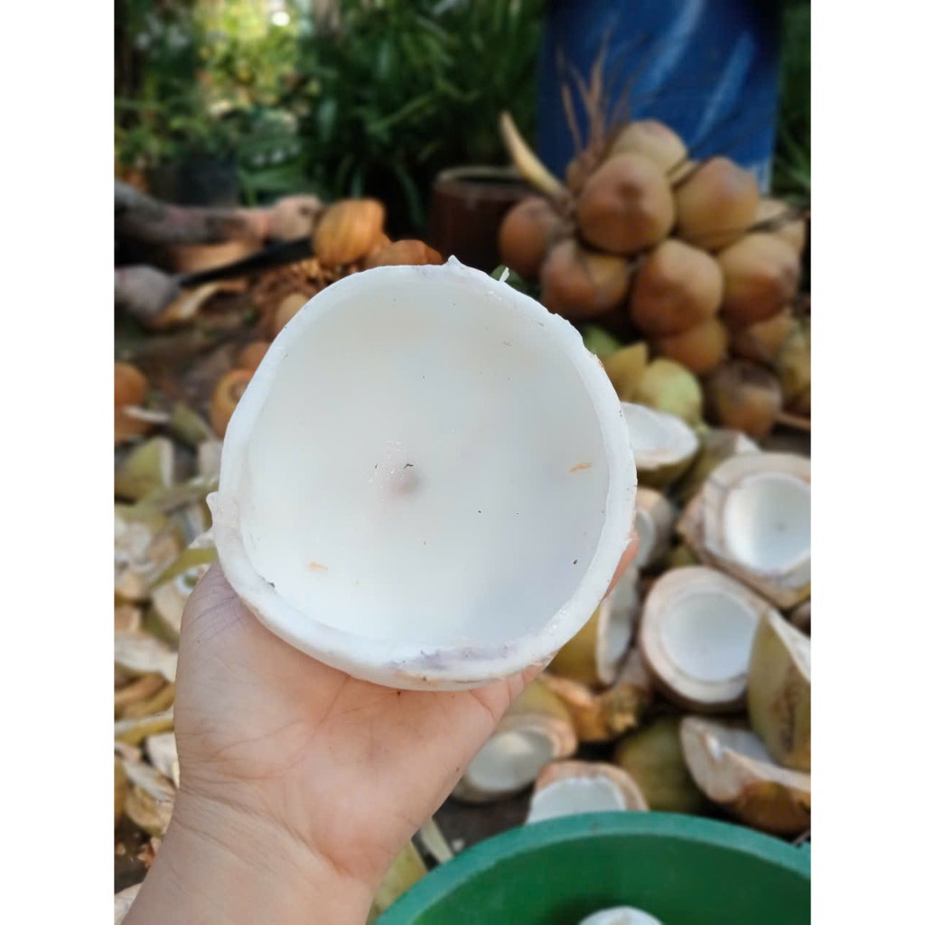 Mứt dừa non mềm dẻo