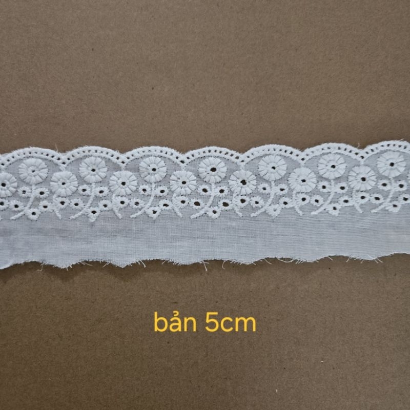 Trắng bản 5cm