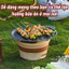 Chảo Nướng Đá Chống Dính Không Dầu Hàn Quốc Size 34cm Chảo Nướng Thịt Dùng Được Cho Cả Bếp Từ