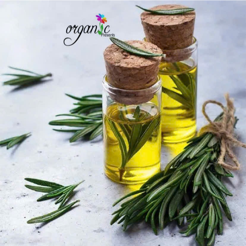 TINH DẦU HƯƠNG THẢO (ROSEMARY)
