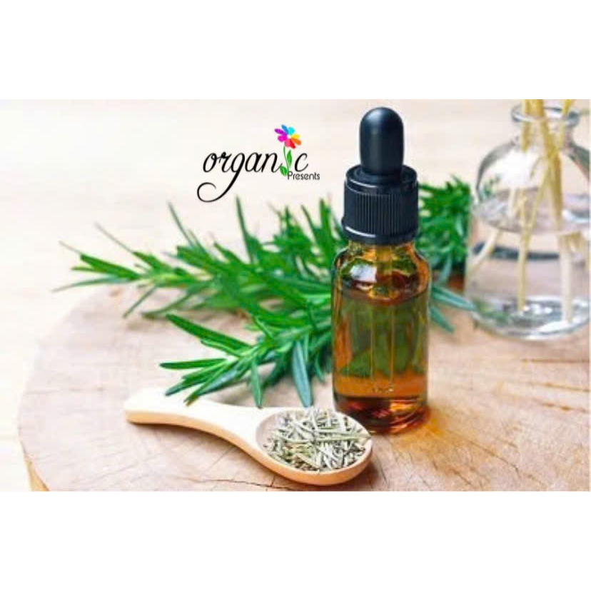 TINH DẦU HƯƠNG THẢO (ROSEMARY)