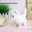Mèo Bông Biết Đi Chó Bông Vẫy Đuôi Biết Kêu Bibi Cute Đồ Chơi Chăm Sóc Thú Cưng Cho Bé - BỐ KHỦNG LONG