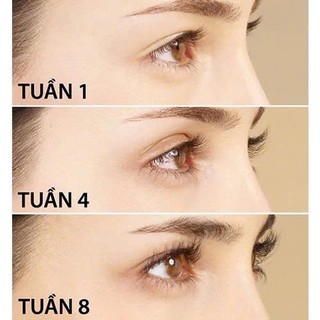 [CHÍNH HÃNG] Dưỡng mi NGÀY MÀU TRẮNG Dưỡng Mi Chính Hãng FKN, Serum Dưỡng Mi Ban Đêm