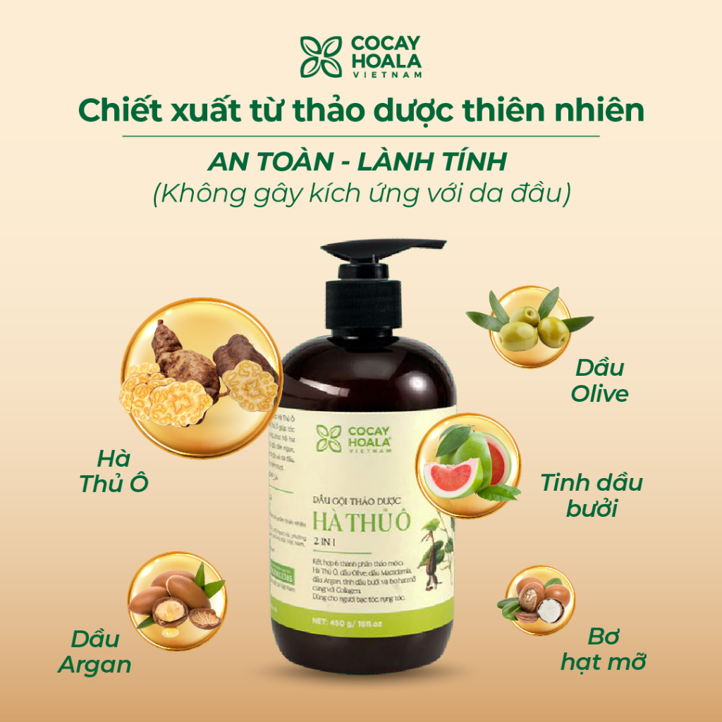 Dầu Gội Hà Thủ Ô Cỏ Cây Hoa Lá  2 in 1 300-450ml