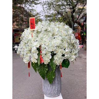 Lan xoăn cao su VIP quả to cao cấp decor - Hoa giả trang trí