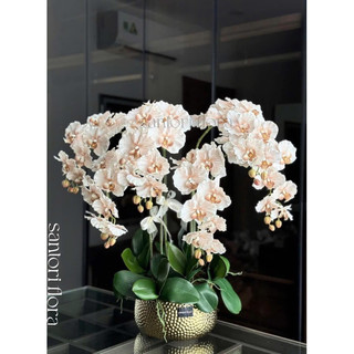 Lan xoăn cao su VIP quả to cao cấp decor - Hoa giả trang trí