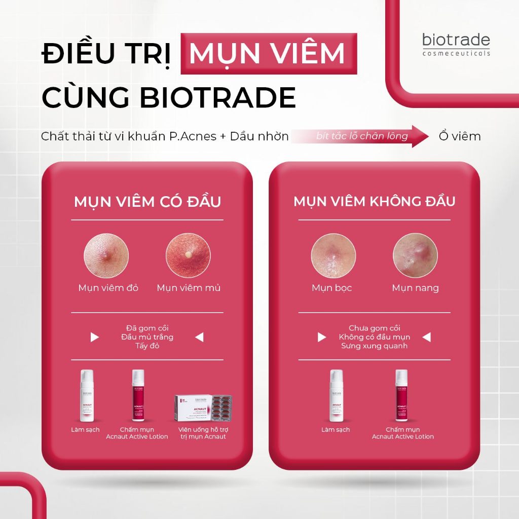 Combo Viên uống Biotrade & Kem chấm mụn Acnaut Cream cho da mụn sưng, mụn viêm - Skin Studio