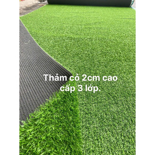 Cỏ nhân tạo 2cm 3 lớp cao cấp, Combo 10-50m2, trải sàn quán xá trường học đẹp bền 5-7 năm