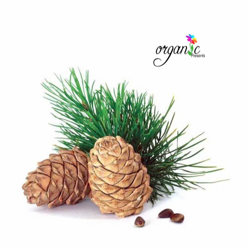 TINH DẦU HOÀNG ĐÀN / TUYẾT TÙNG (CEDARWOOD)