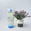 Sữa Rửa Mặt Và Tắm La Roche-Posay Cho Da Khô & Rất Khô Lipikar Syndet AP+ 200ml