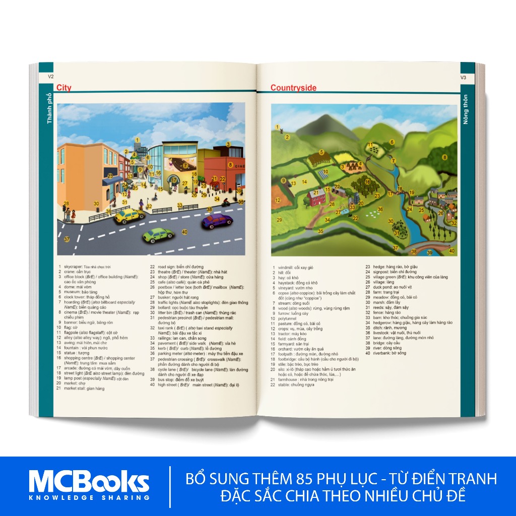 Sách - Từ điển Anh - Việt ( Bìa mềm đen )