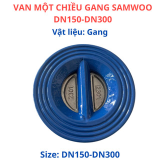 VAN MỘT CHIỀU GANG SAMWOO DN40-DN125