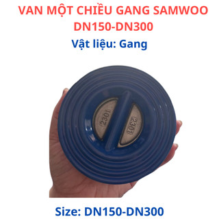 VAN MỘT CHIỀU GANG SAMWOO DN40-DN125