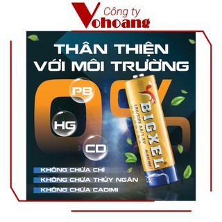 Pin AA Alkaline BIGXEL LR06 - Vỉ 2 viên pin tiểu kiềm chống chảy